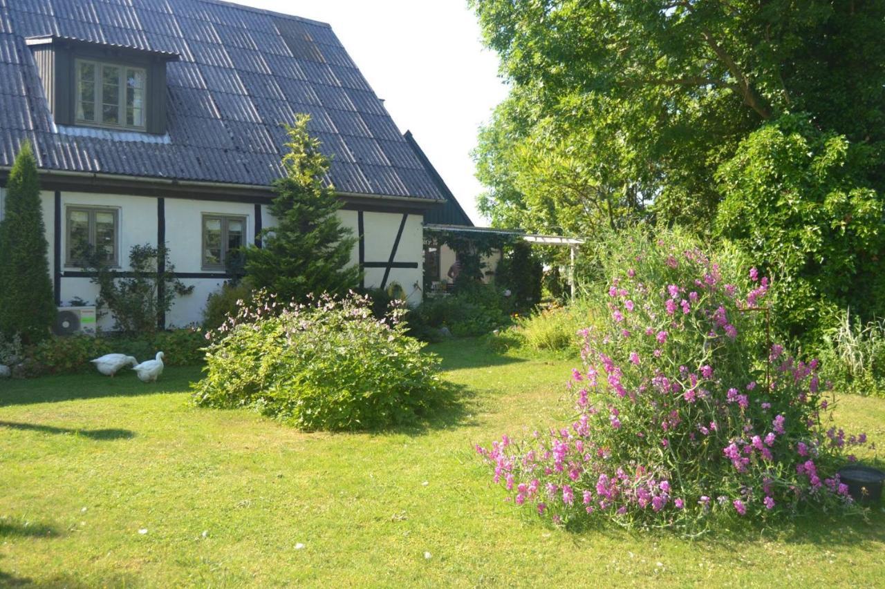 Byens Rareste B&B Harlev  Exterior foto